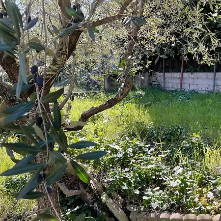 Ubika 2* Porto San Giorgio