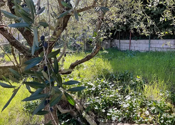 Ubika 2* Porto San Giorgio